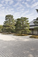 The raked gravel area, known as Karesansui by the temple with topiary Pine Trees growing  in moss 