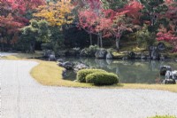 The raked gravel area, known as Karesansui in foreground. View across lake to  Acers with autumn colour. 