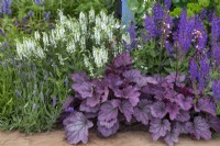 Purple and white mixed planting in 'Bee Inspired' - Beautiful Borders at BBC Gardener's World Live 2018, June