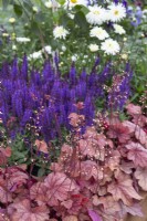 Purple themed border in Bee Inspired' - Beautiful Borders at BBC Gardener's World Live 2018, June