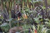 A perennial border with Kniphofia and bold foliage plants such as purple Phormium in 'Harborne Botanics garden', BBC Gardeners World Live 2019, June