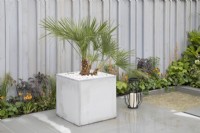 Square white planter in the Gadd Brothers Garden Getaway at BBC Gardener's World Live 2019, June