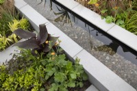 A Contemporary water feature in Harborne Botanics garden in BBC Gardener's World 2019, June
