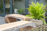 Modern contemporary wooden bench seats in front of a home office with a Dryopteris felix-mas growing in a woven wicker basket container