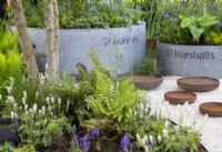 Concrete drainage pipes used as containers with mixed perennial planting, corten steel water bowls for wildlife, woodland shady border of ferns and Tiarella