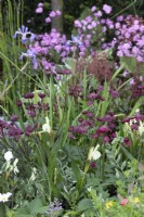 Mixed perennial planting in 'The Home Solutions by John Lewis Garden' at BBC Gardeners World Live 2019