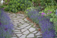 Lavender frames a broken pathway overgrown with grass, in the 'CLIC-Sargent' Garden, BBC Gardener's World Live 2017