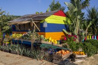 Colourful beach hut with fresh fruit display