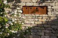 Drystone wall with corten steel bird boxes to attract endangered tree sparrows who nest in groups - Viburnum opulus - snowball bush