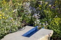Modern contemporary water rill made from recycled plastics set in stone - mixed perennial planting of Euphorbia, Geranium pratense, Lychnis flos-cuculi 'White Robin' and Ranunculus acris 
