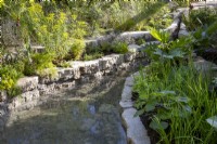Pond made with reclaimed salvaged concrete edges - mixed perennial planting - Rheum palmatum 'Rubrum', Iris chrysographes, Ligularia dentata, Euphorbia ceratocarpa and ornamental grasses