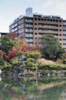 Border of shrubs, grasses and rocks reflected in the water of the Ingestu-chi pond with view to apartment block outside the garden.