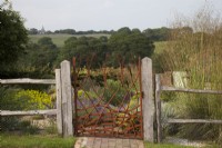 Drought tolerant garden filled with mediterranean plants. Bespoke Steel Gate allowed to rust, depicting corn and the fields, framing the view of the fields to Pett Church and entrance to The Jewel Garden. Plants include Euphorbia seguieriana subsp. niciciana and Stipa gigantea. Gate Made by Jake Bowers The Thirsty Bear Forge Hastings