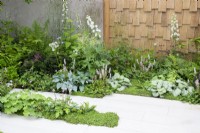 Rendered wall with sweet chestnut screen, stone paving and mixed perennial planting border including Delphinium 'Guardian White', Brunnera macrophylla, Hosta, Persicaria affinis and Soleirolia soleirolii