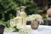 Elderflowers in a jug with homemade cordial - June