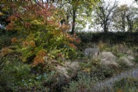 Deep autumnal beds at The Garden House, Devon. Grasses and late flowering perennials drift through each other
