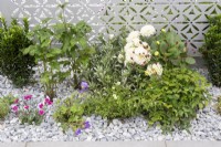 A stainless steel laser cut patterned screen with mixed perennial planting including Dahlia