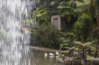 Looking out on the Central Lake from behind the waterfall with swans in the background and island with tropical planting. Monte Palace Gardens, Madeira. August. Summer