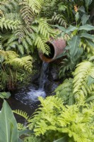 Water flows from a terracotta pipe surrounded by ferns and lush foliage. August.