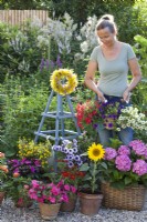 A woman holds hanging containers planted with Verbena, Surfinia and Scaevola amongst a group of containers planted with Hydrangea, Impatiens, Sunflower, Zinnia and some others.