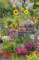 Display of containers planted with Impatiens, Surfinia, Lantana, Verbena, Scaevola and sunflowers. Wreaths made of summer flowers hanging from the table and a birdcage.