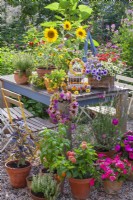 Display of containers planted with Impatiens, Surfinia, Lantana, Verbena, Scaevola and sunflowers. Wreaths made of summer flowers hanging from the table and a birdcage.