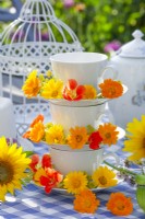 Pot marigolds and nasturtiums on a stand made of teacups and saucers.