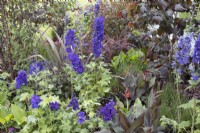 Dark perennial planting in 'From Darkness to Light' - RHS Chatsworth Flower Show 2019, June