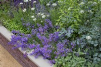 Raised flowerbed of perennials in 'The Wedgwood Garden' at RHS Chatsworth Flower Show,