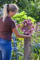 A woman hangs a mostly pink wreath made of  Echinacea, Rosa, Fennel, Monarda and Veronicastrum on a wooden stand