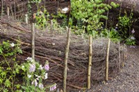 A dead hedge made from tree prunings with bark chippings path 