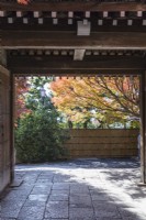 Paved entrance to temple and view into landscaped garden. Acers in autumn colour.