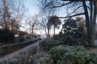 A frosty morning  along a path leading to the Camellia Conservatory at Chiswick House and Gardens