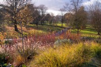 A view over plantings in the hillside Winter Garden at Kew Gardens in autumn.