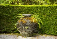 Ferns growing from an urn shaped sculpture made from slate by Joe Smith