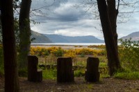 High backed seats carved from tree trunks facing Lochcarron over a dry stone wall and gorse lined train tracks.