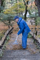 Gardener wearing blue waterproof clothing, hat and gloves raking up leaves from path.