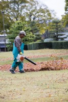 Gardener wearing overall and hat using leaf blower to clear leaves from grass.