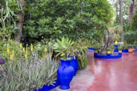 Jardin Majorelle, Yves Saint Laurent garden terrace with raised beds, Aloe barbadensis in flower 