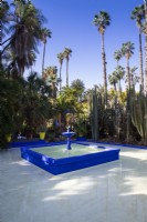 Jardin Majorelle, Yves Saint Laurent garden, pond with water feature fountain  surrounded by cacti and palm trees