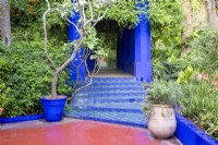 Jardin Majorelle, Yves Saint Laurent garden, green and blue tiled steps surrounded by mixed perennial planting 