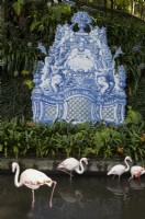European flamingo's in front of verdant plants in a shallow pond, with wall mounted antique tiled panels within an ivy covered wall. Monte Palace Gardens, Madeira. August. Summer
