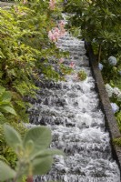 One of many water features, water tumbles down over steps with flowering shrubs and other tropical planting beside the feature. Monte Palace Gardens, Madeira