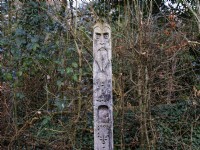 Sculptural wooden totem pole depicting the mythical  Green Man  at RHS Rosemoor in February.