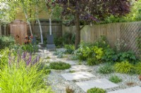 Small contemporary town garden in summer with stepping stones. Wide variety of foliage and flowering plants including birch trees, Iris 'Natchez Trace', Hakonechloa macra 'Aureola', miscanthus, and Salvia nemorosa 'Caradonna'. June