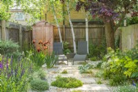 Small contemporary town garden in summer with stepping stones. Wide variety of foliage and flowering plants including birch trees, Iris 'Natchez Trace', Lamprocapnos spectabilis 'Gold Heart' and Salvia nemorosa 'Caradonna'. June