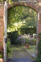 View through the doorway of a walled garden to a pair of terracotta pots planted with Salvia 'Phyllis' Fancy' in October