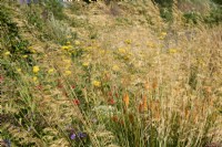 Stipa gigantea at the front of the border with mixed perennials behind