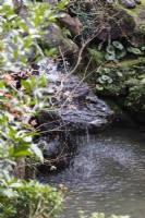 Small cascade of water in stream.