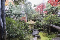 View into garden with shrubs enclosed with rope and bamboo wigwam as protection against snow damage. This is called Yukitsuri. Acers with autumn colour. Fragile stone ornament wrapped in decorative straw covering as protection against frost damage. 